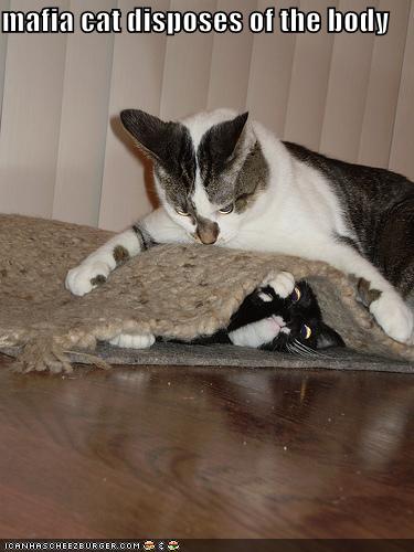 [Image: funny-pictures-mafia-cat-disposes-of-the-body.jpg]